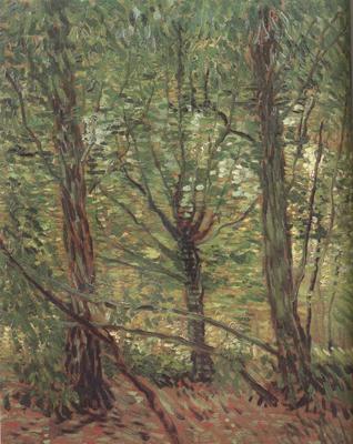 Vincent Van Gogh Trees adn Undergrowth (nn04) Sweden oil painting art